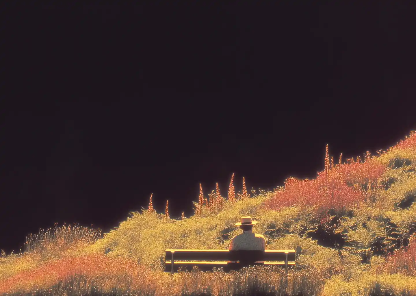 Person sitting on a bench in a golden botanical landscape
